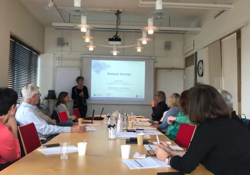 Biobank-Sweden-round-table biobank Sweden, round table talks