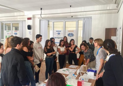 European Biotech Week in Italy Students playing biobank card games at European Biotech Week 2018