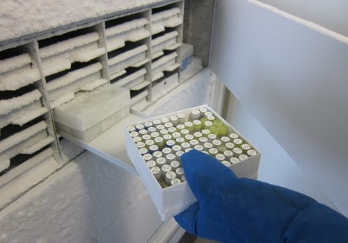 laboratory freezer for secure sample storage