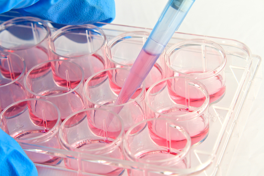 Scientist pipetting medium into 12-well plate, BBMRI-ERIC