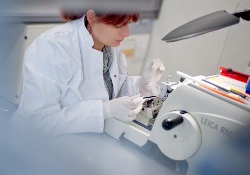 GBA-ring-trial German Biobank Alliance biobanks carrying out ring trial