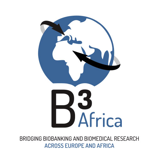 B3Africa logo