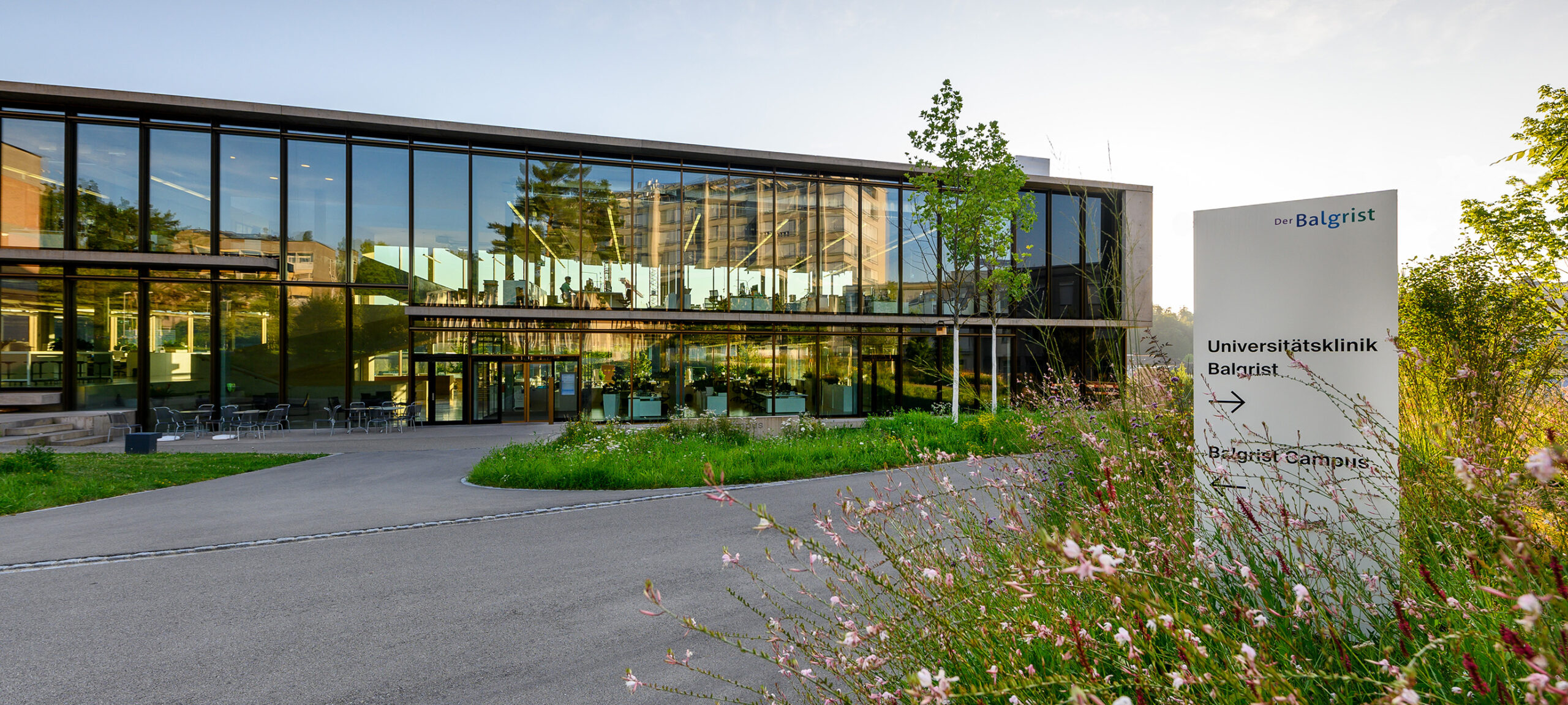The picture of the Swiss Center for Musculoskeletal Biobanking (SCMB)