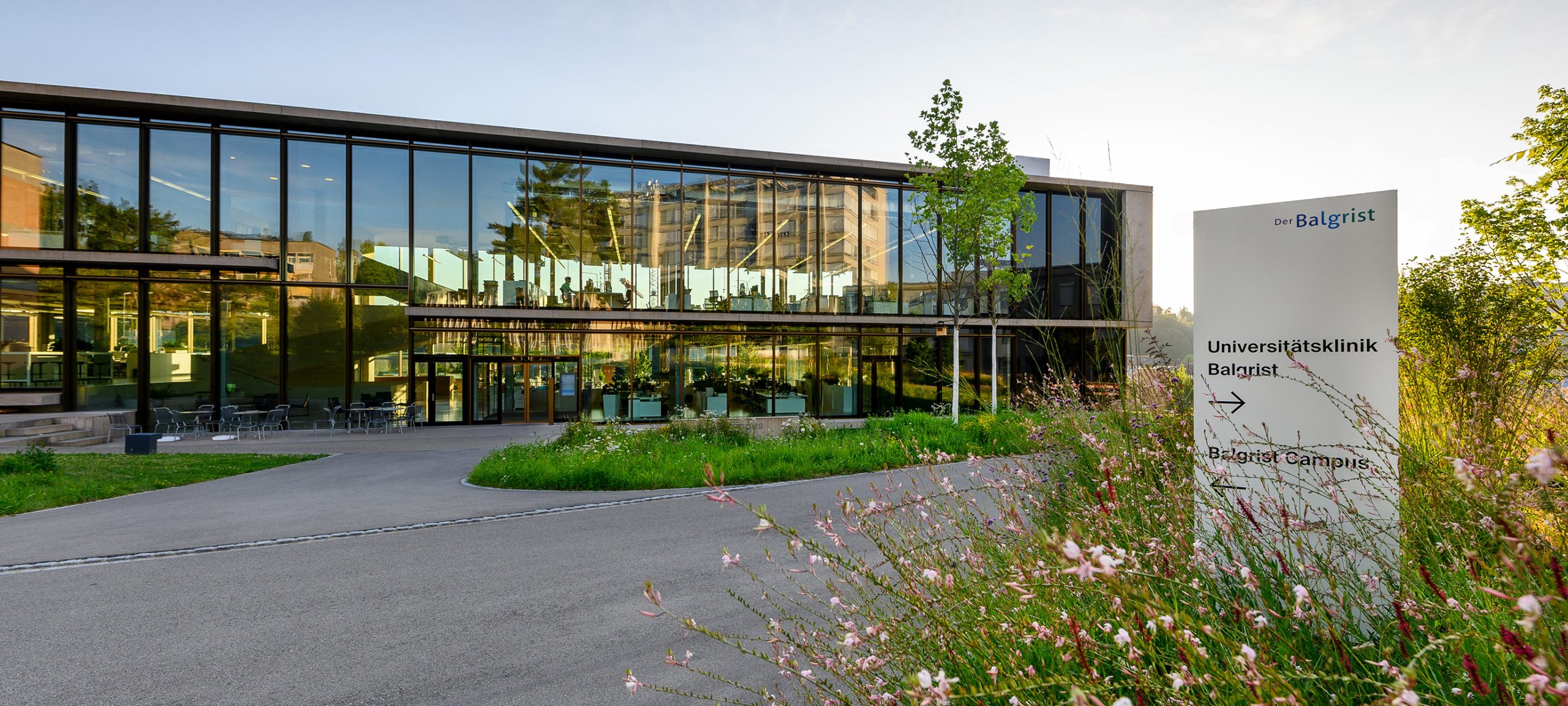 The picture of the Swiss Center for Musculoskeletal Biobanking (SCMB)