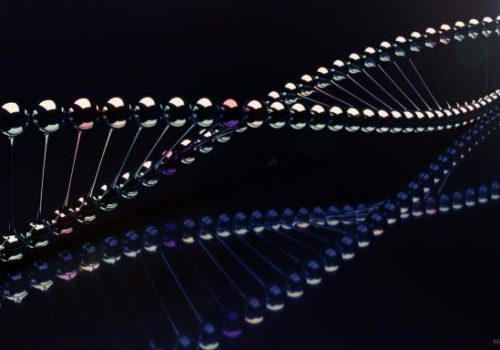 EPND_DNA resized
