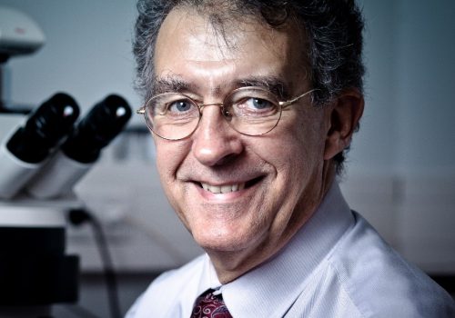 Gert-Jan van Ommen