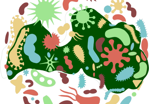 LatvianMicrobiome_logo_small_Dec20