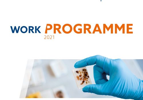 Work Programme 2021